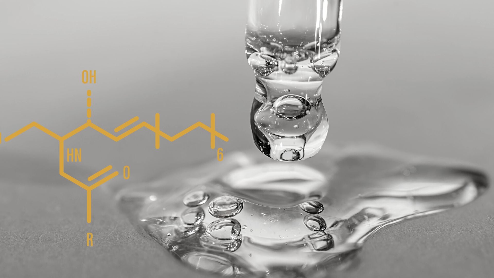 Les céramides : un bouclier hydratant