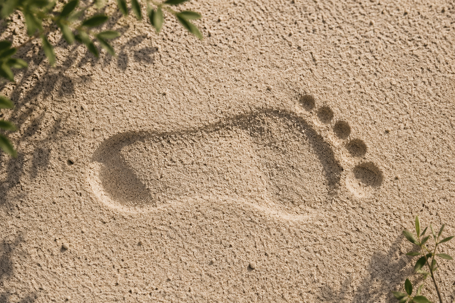 Une empreinte de pas dans le sable évoque l'engagement de Belle après 40 ans pour limiter son empreinte carbone et préserver l'environnement.